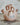 Mixe 06